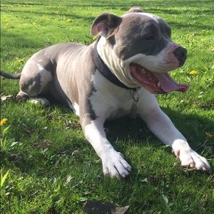 Meet your Posher, Casey